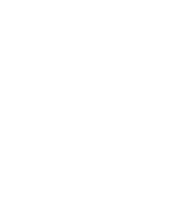 H4 Sports Academy - Official Store